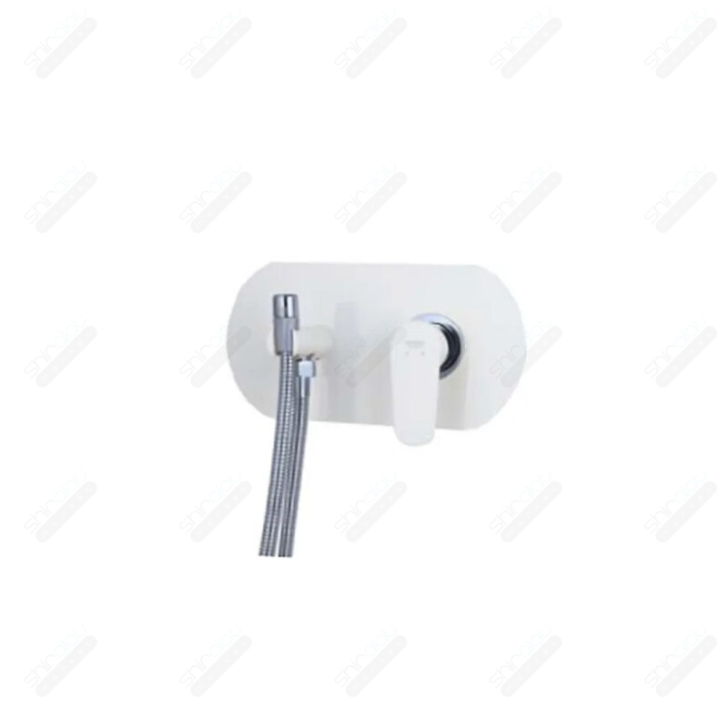 ملحقات شیر توالت توکار راسان مدل ایکاد تنسو - تصویر 3