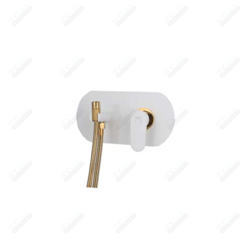 ملحقات شیر توالت توکار راسان مدل ایکاد تنسو - تصویر 4