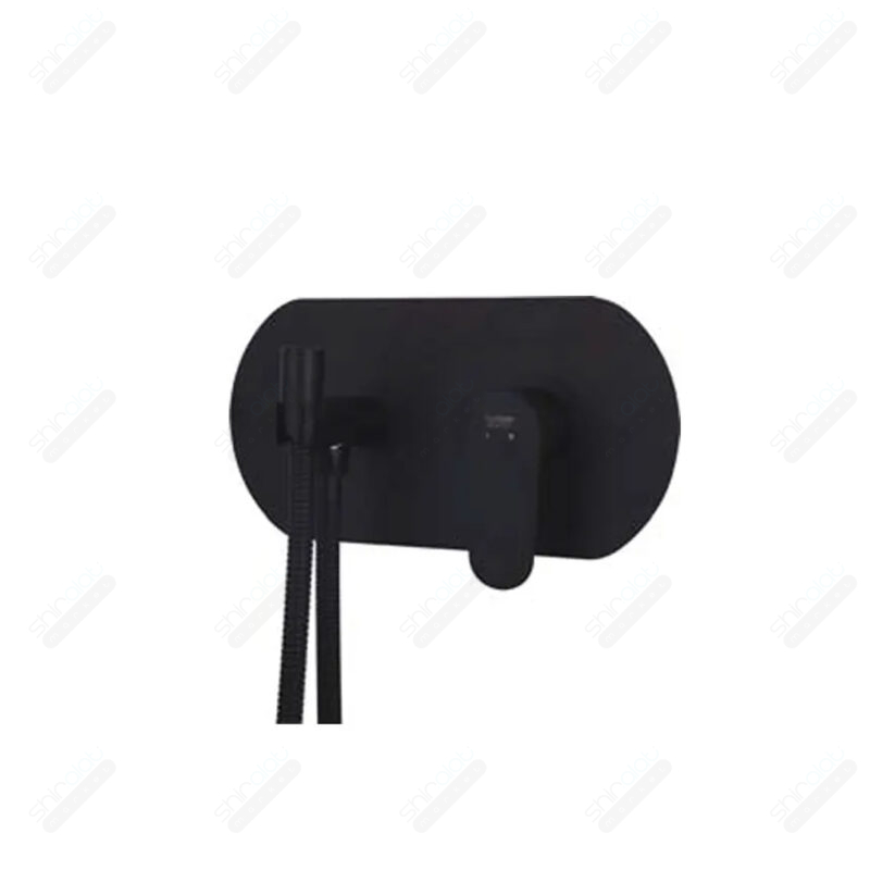 ملحقات شیر توالت توکار راسان مدل ایکاد تنسو - تصویر 8