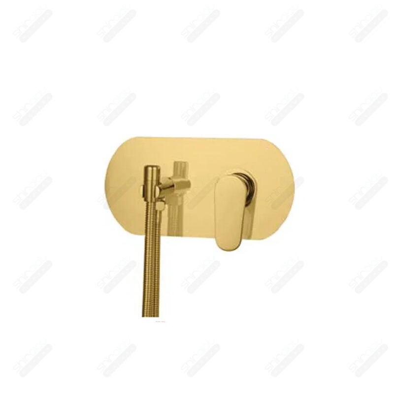 ملحقات شیر توالت توکار راسان مدل ایکاد تنسو - تصویر 10
